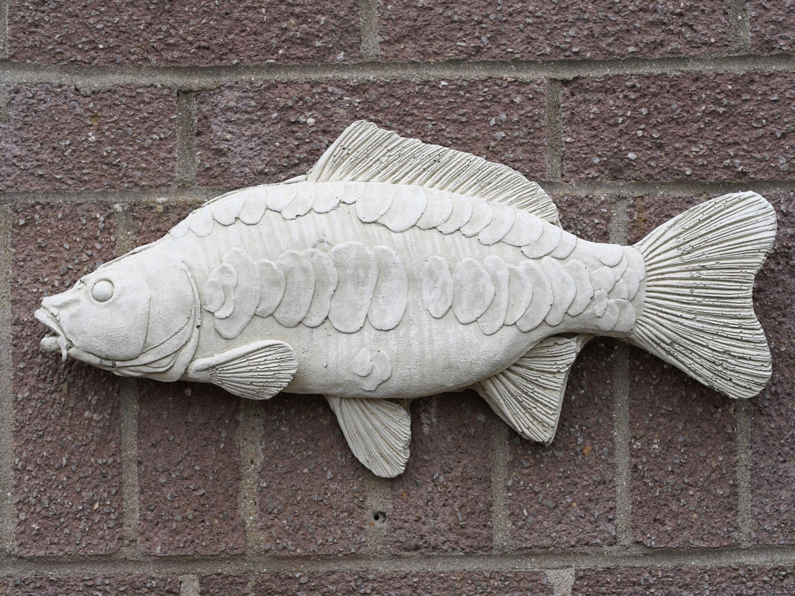 Large Mirror Carp Hanging Stone Angling Plaque