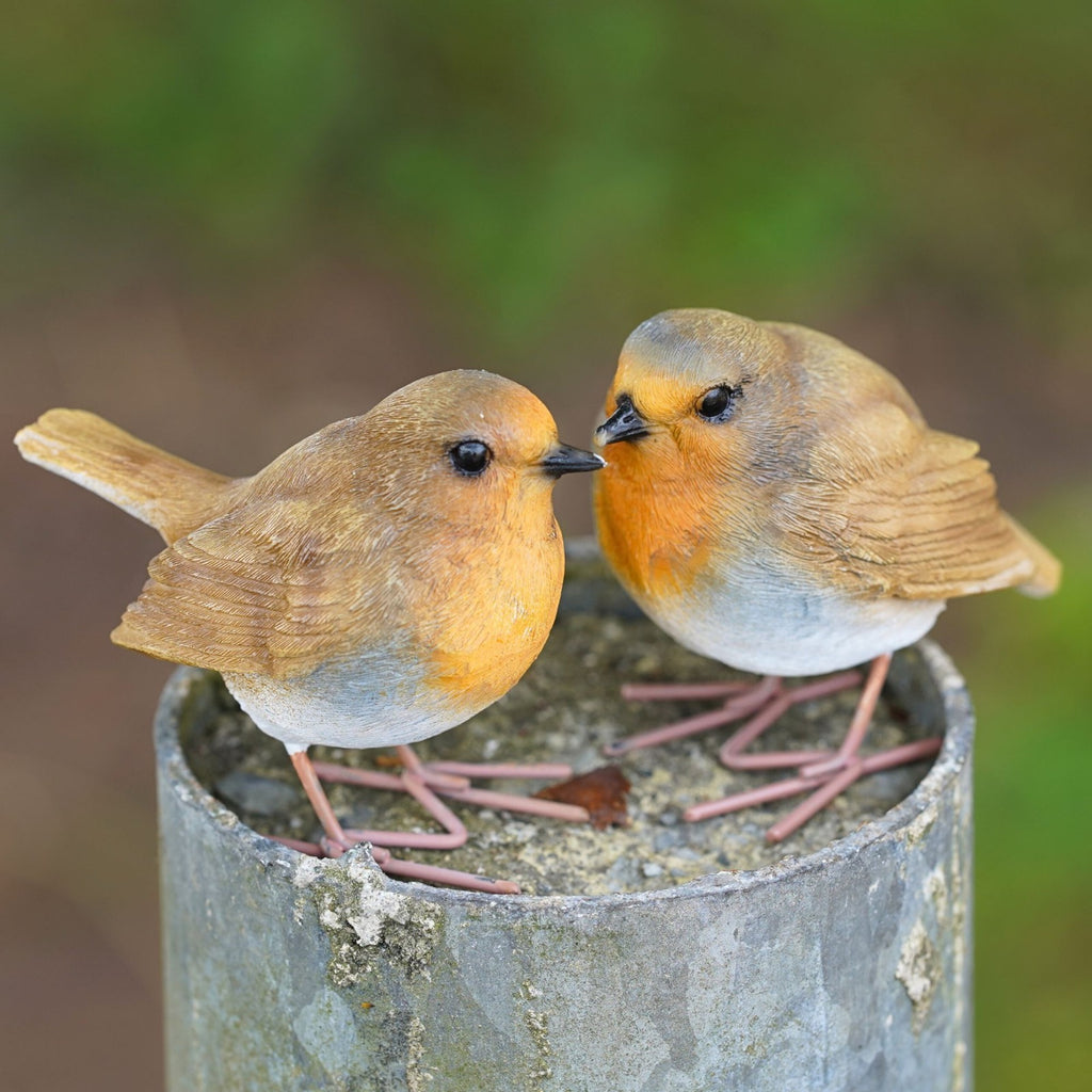 Red Robin Set Resin Ornament