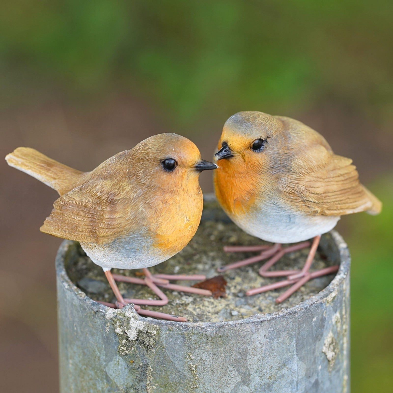 Red Robin Set Resin Ornament