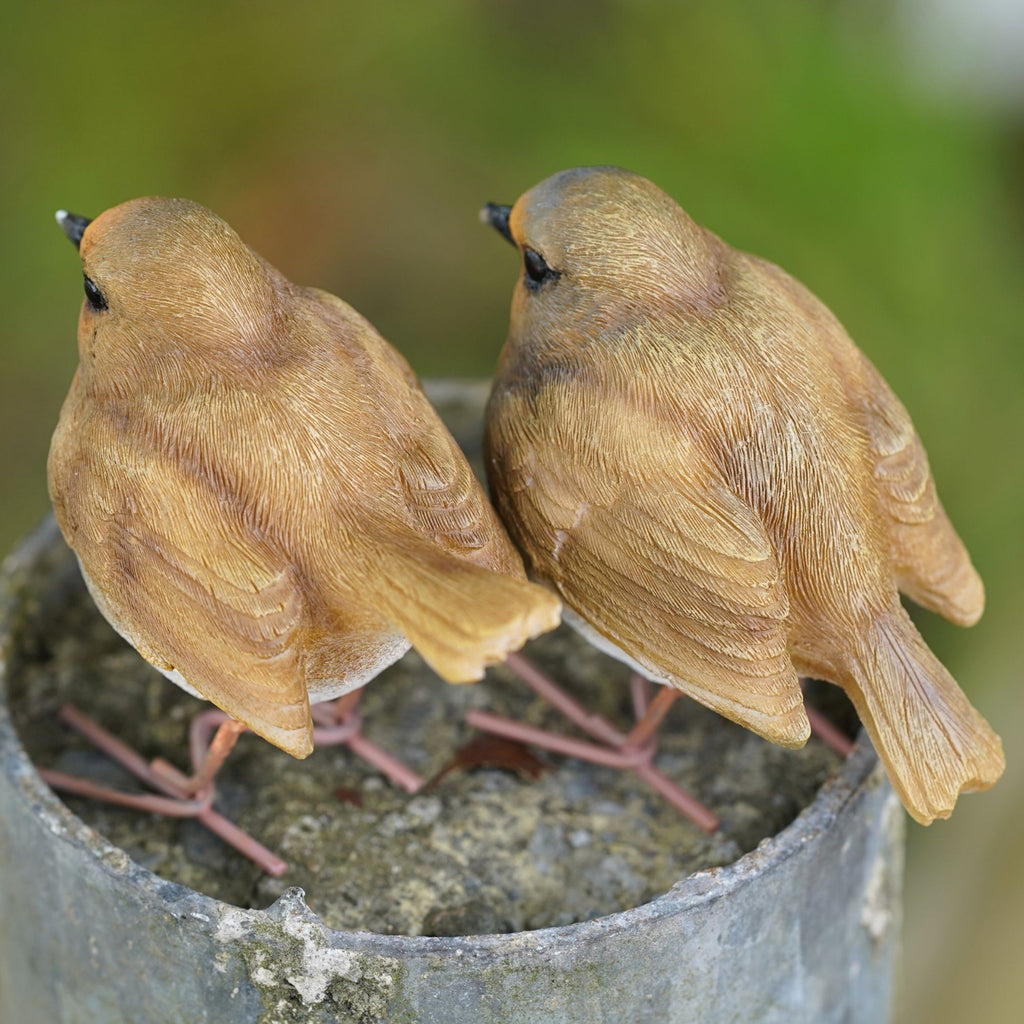 Red Robin Set Resin Ornament