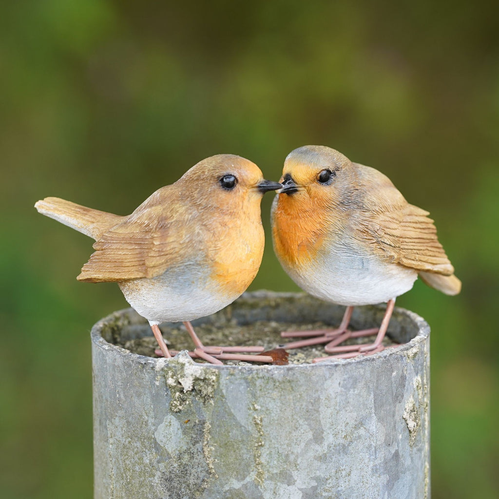 Red Robin Set Resin Ornament