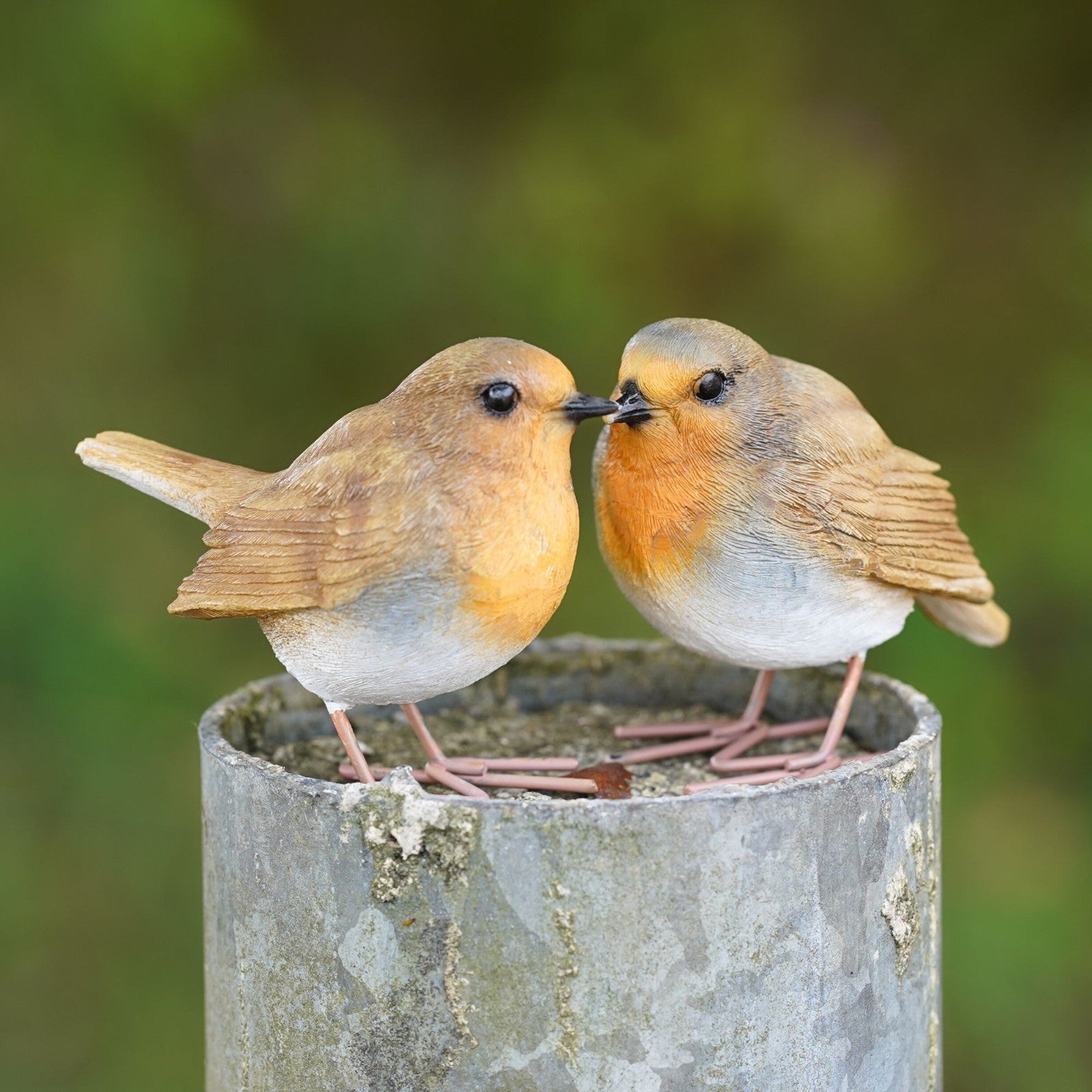 Red Robin Set Resin Ornament