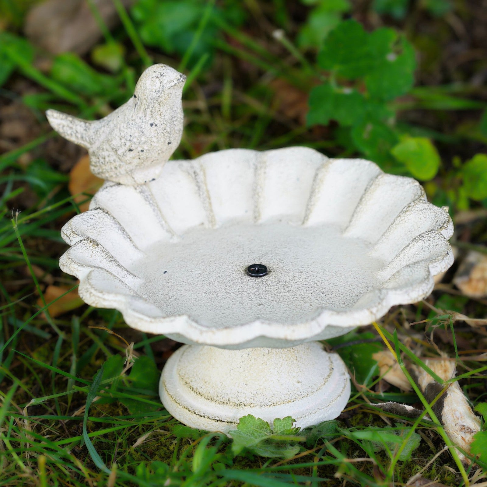 Cast Iron Bird Bath / Feeder White Finish