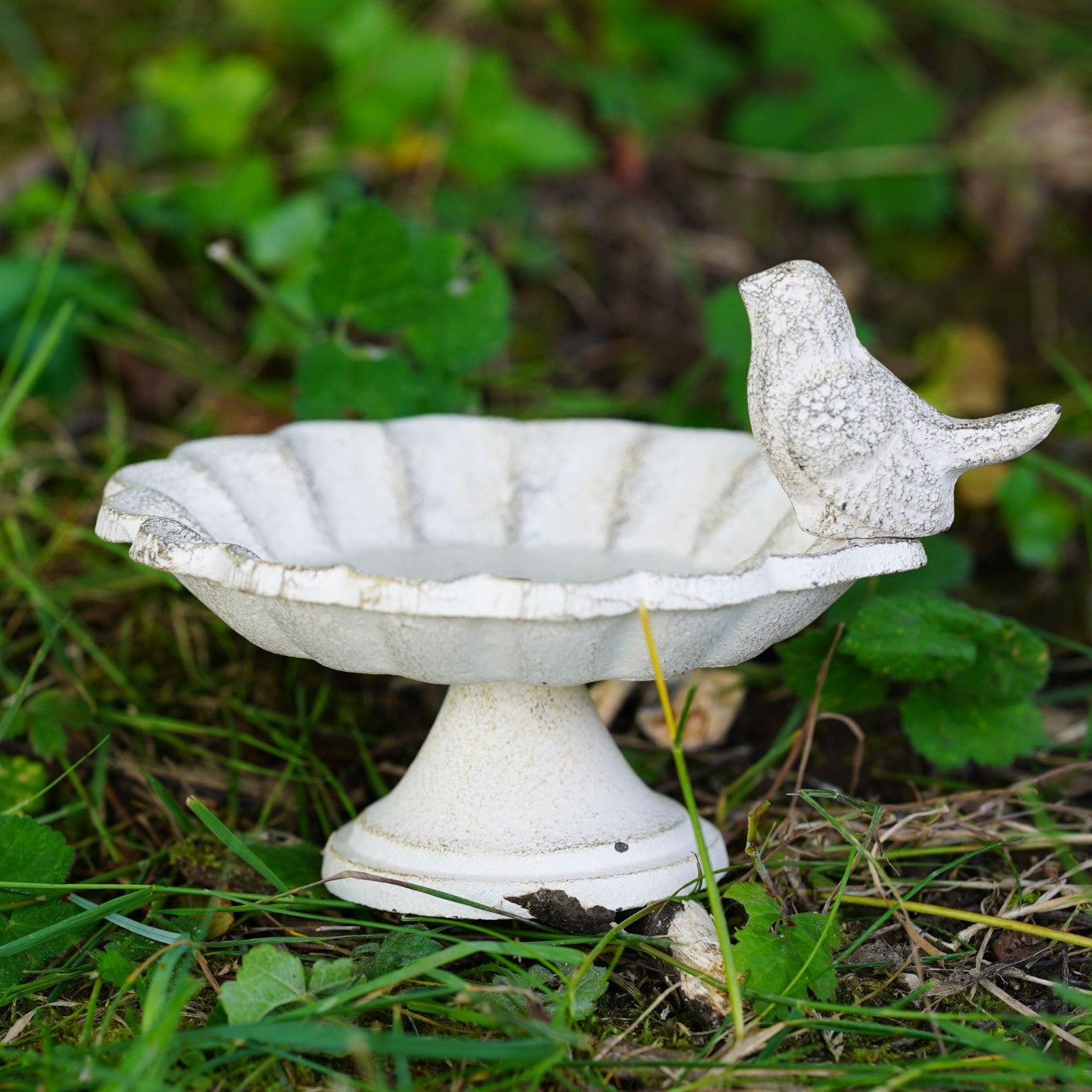 Cast Iron Bird Bath / Feeder White Finish