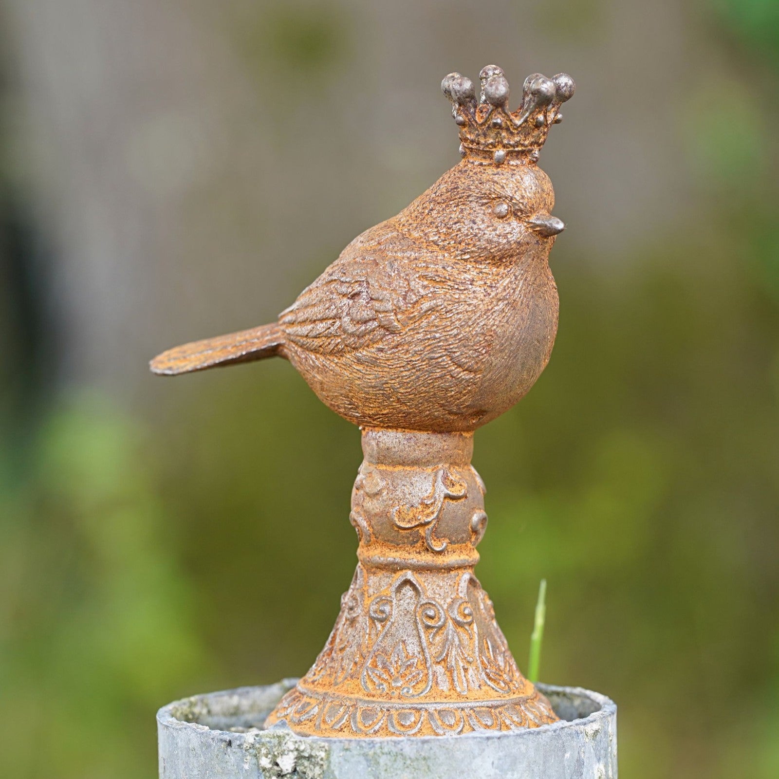 Cast Iron King Robin | British Bird Sculpture