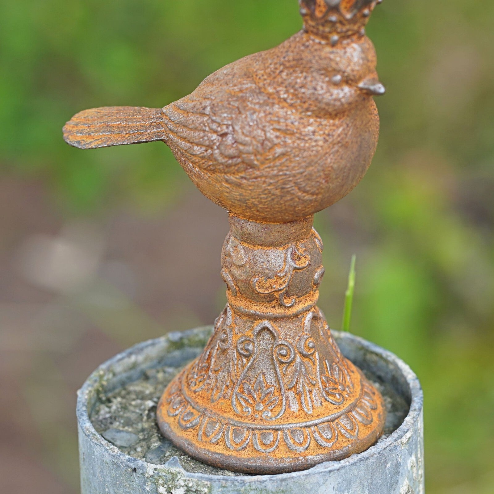 Cast Iron King Robin | British Bird Sculpture
