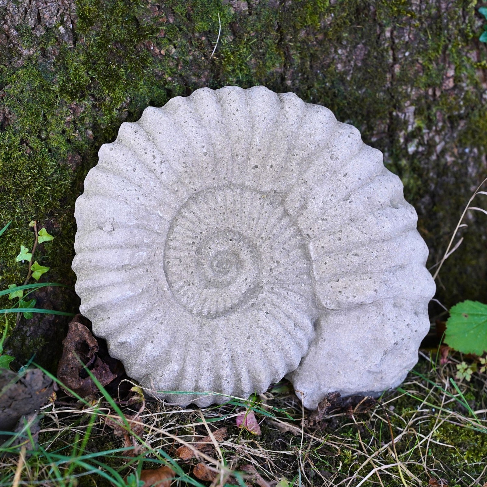 Med Ammonite Large Fossil Stone Statue