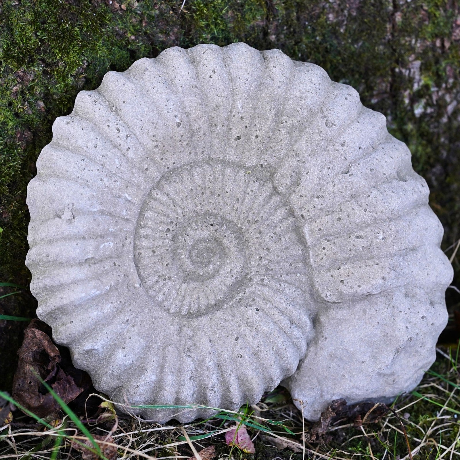Med Ammonite Large Fossil Stone Statue