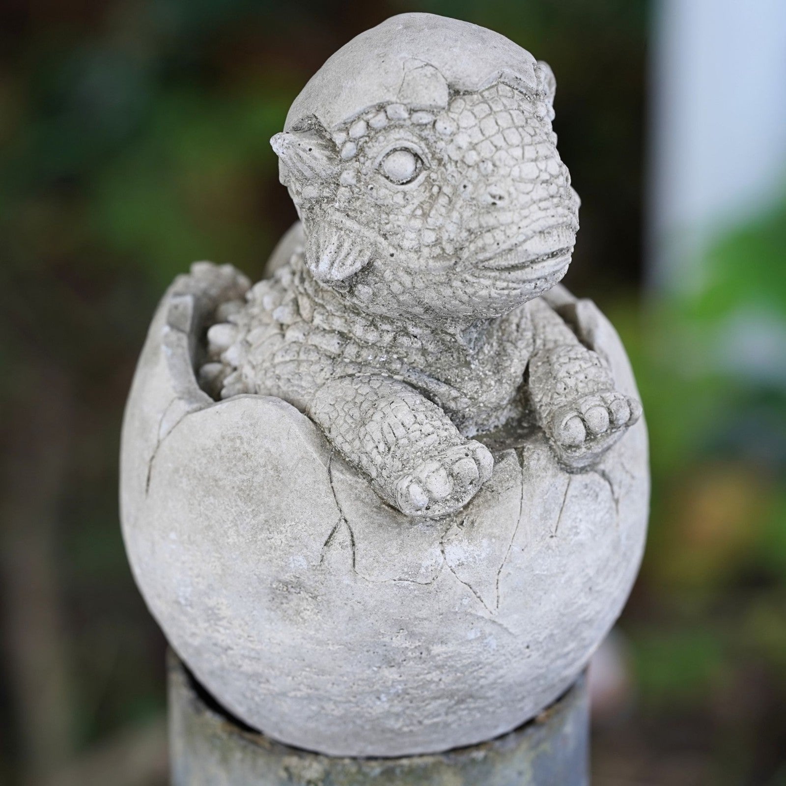 Dragon Hatchling Stone Statue