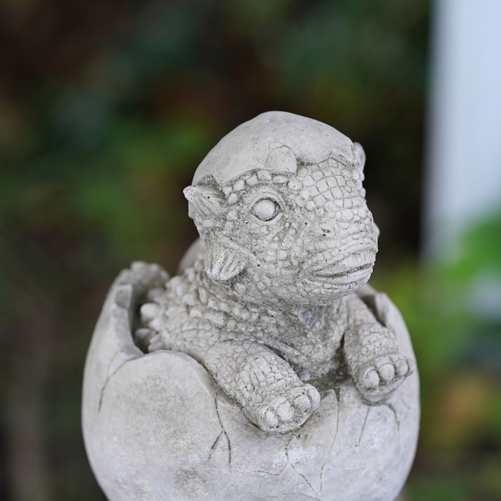 Dragon Hatchling Stone Statue