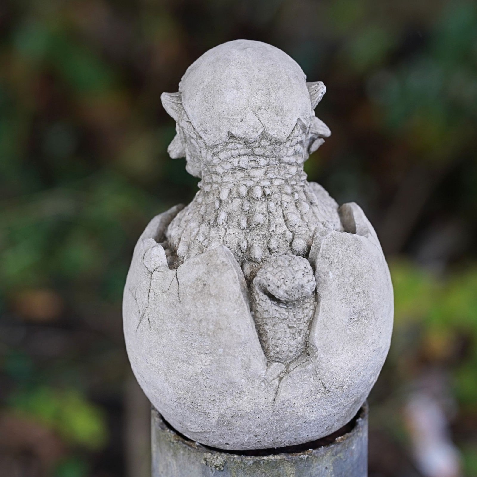 Dragon Hatchling Stone Statue