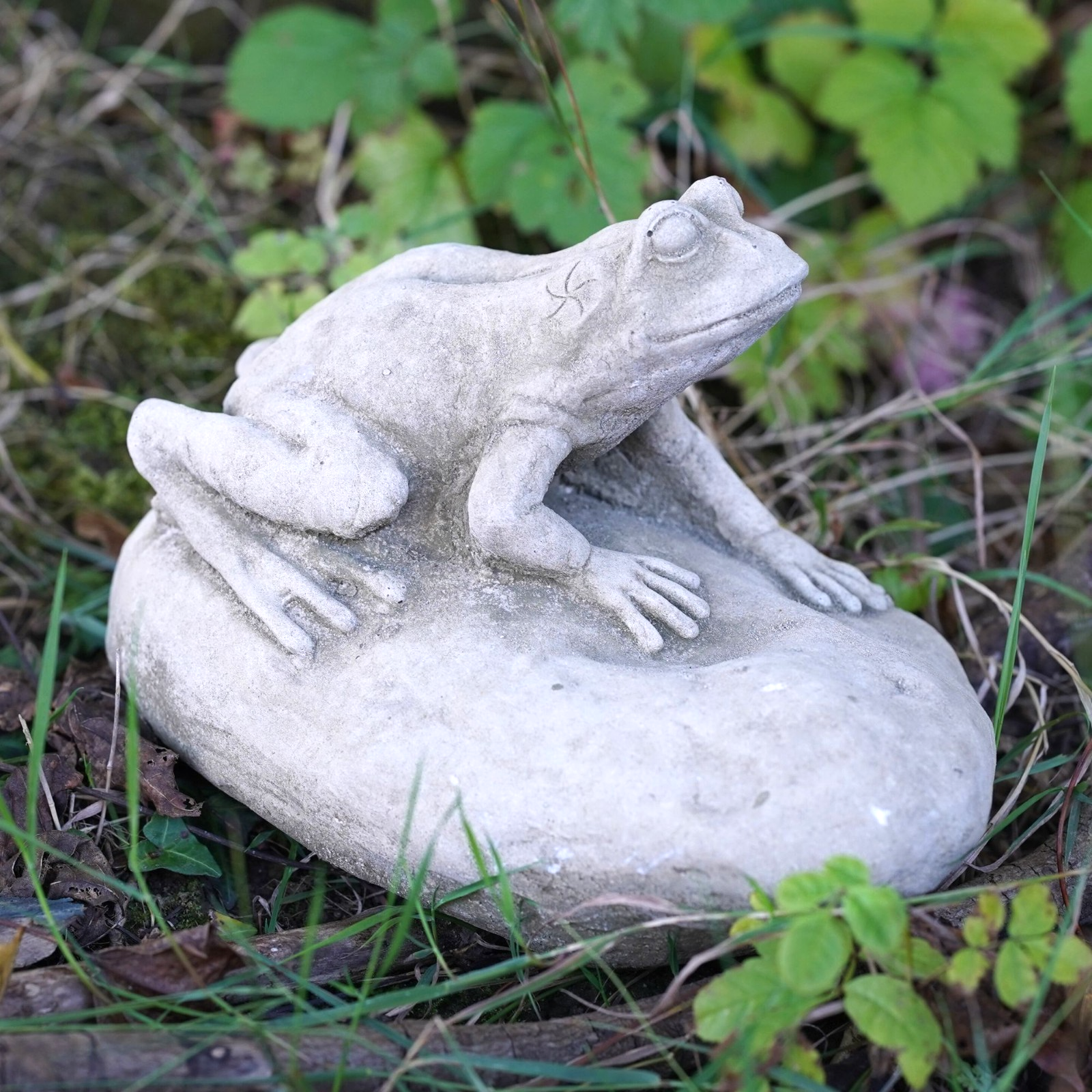 Frog on Rock Stone Statue