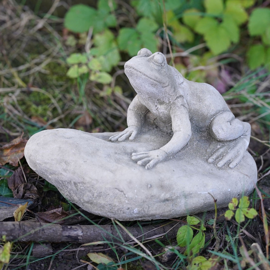 Frog on Rock Stone Statue