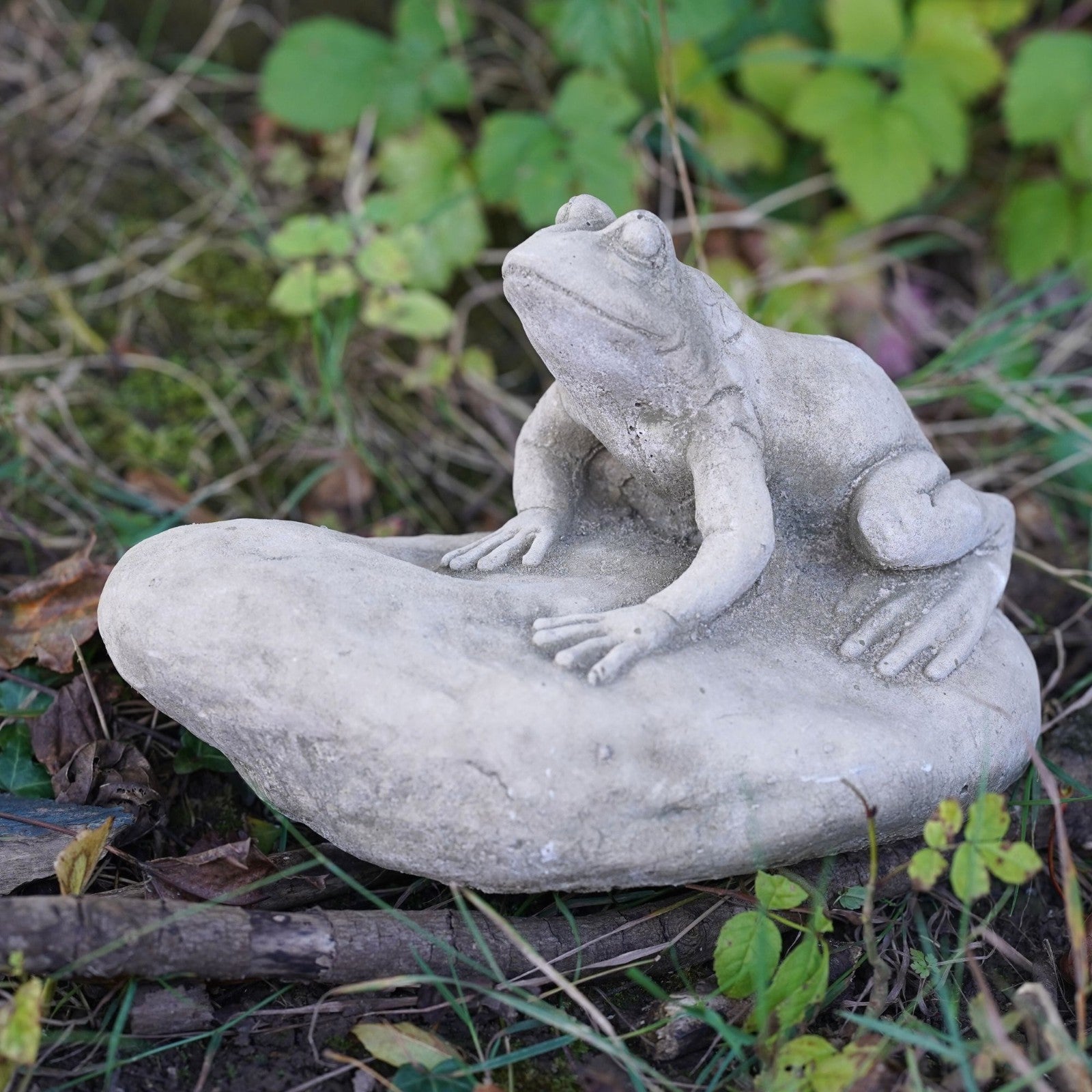 Frog on Rock Stone Statue