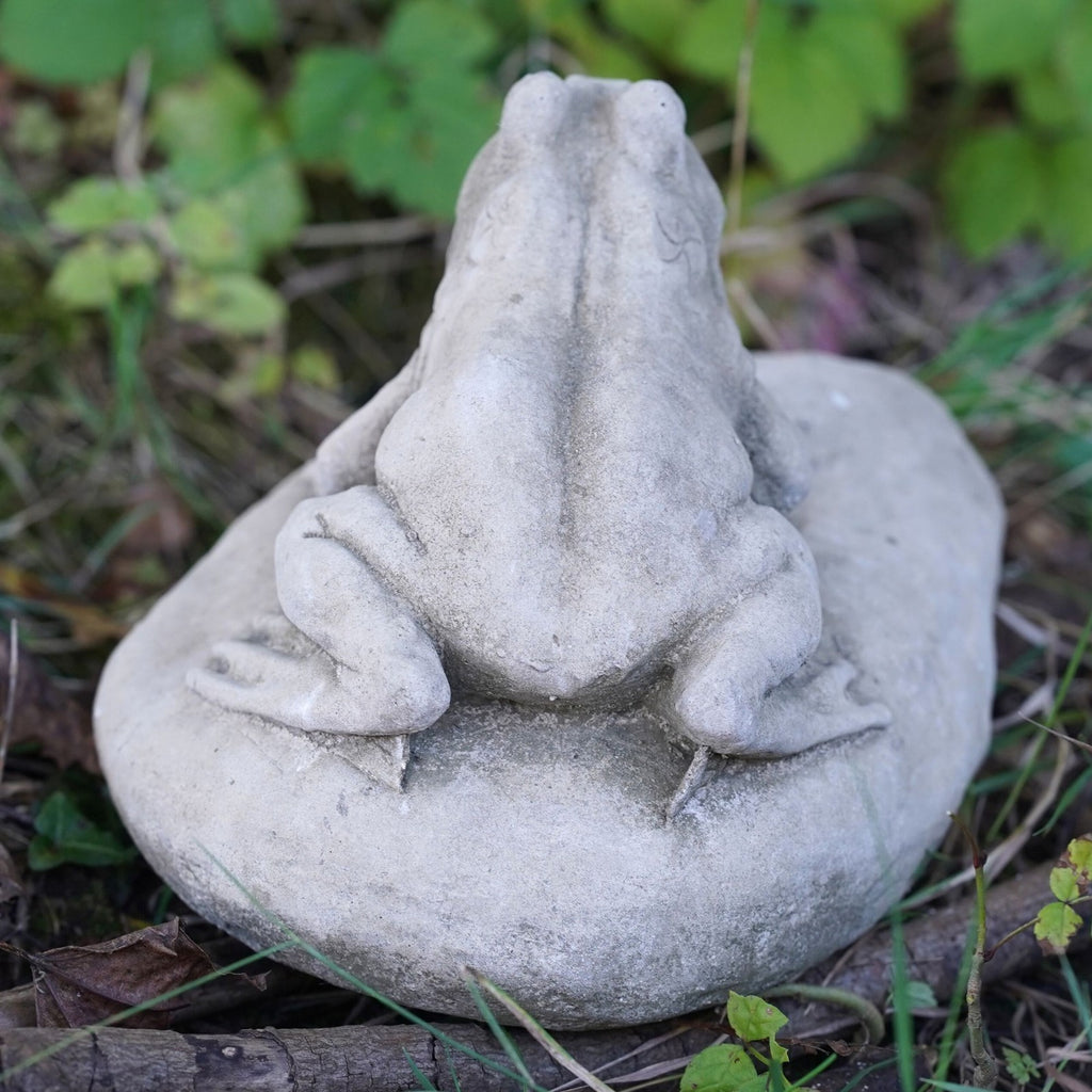 Frog on Rock Stone Statue