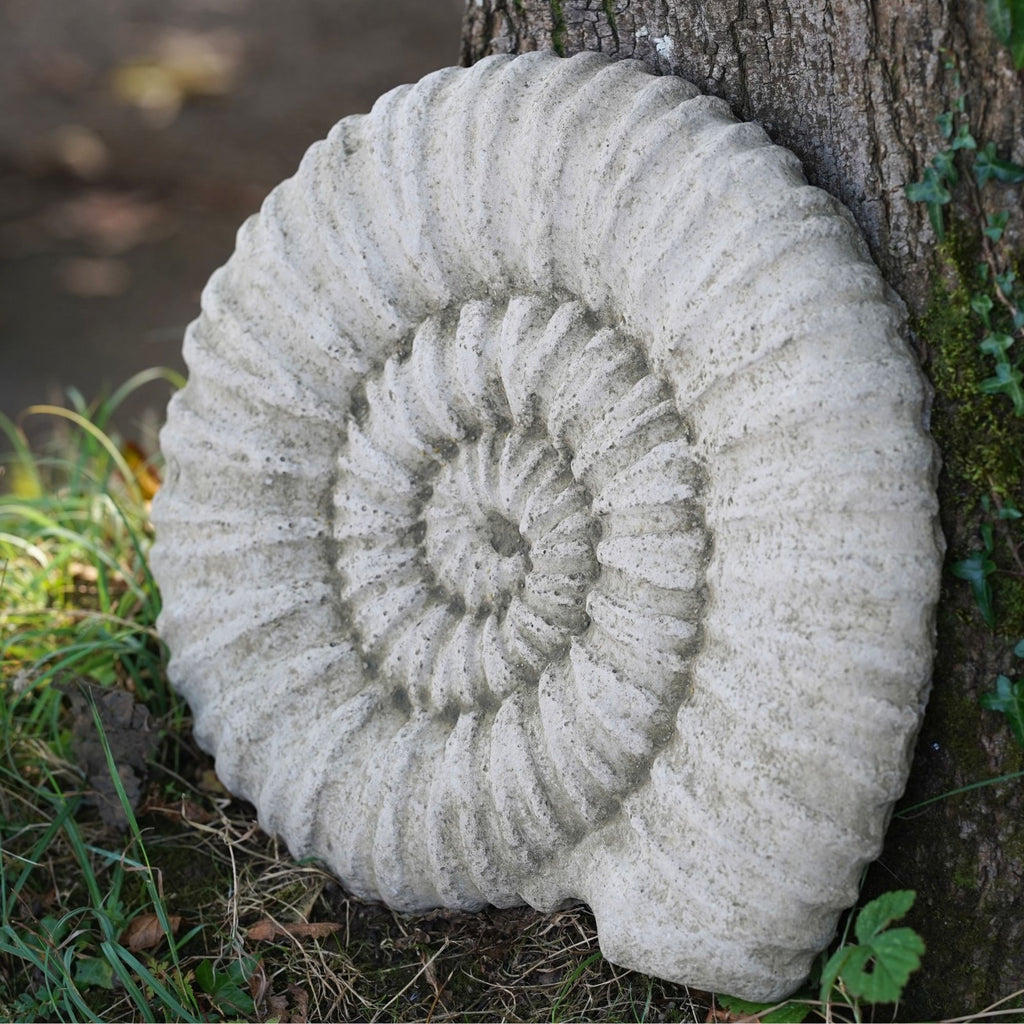 Ancient Ammonite Large 45cm Fossil Stone