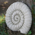 Ancient Ammonite Large 45cm Fossil Stone