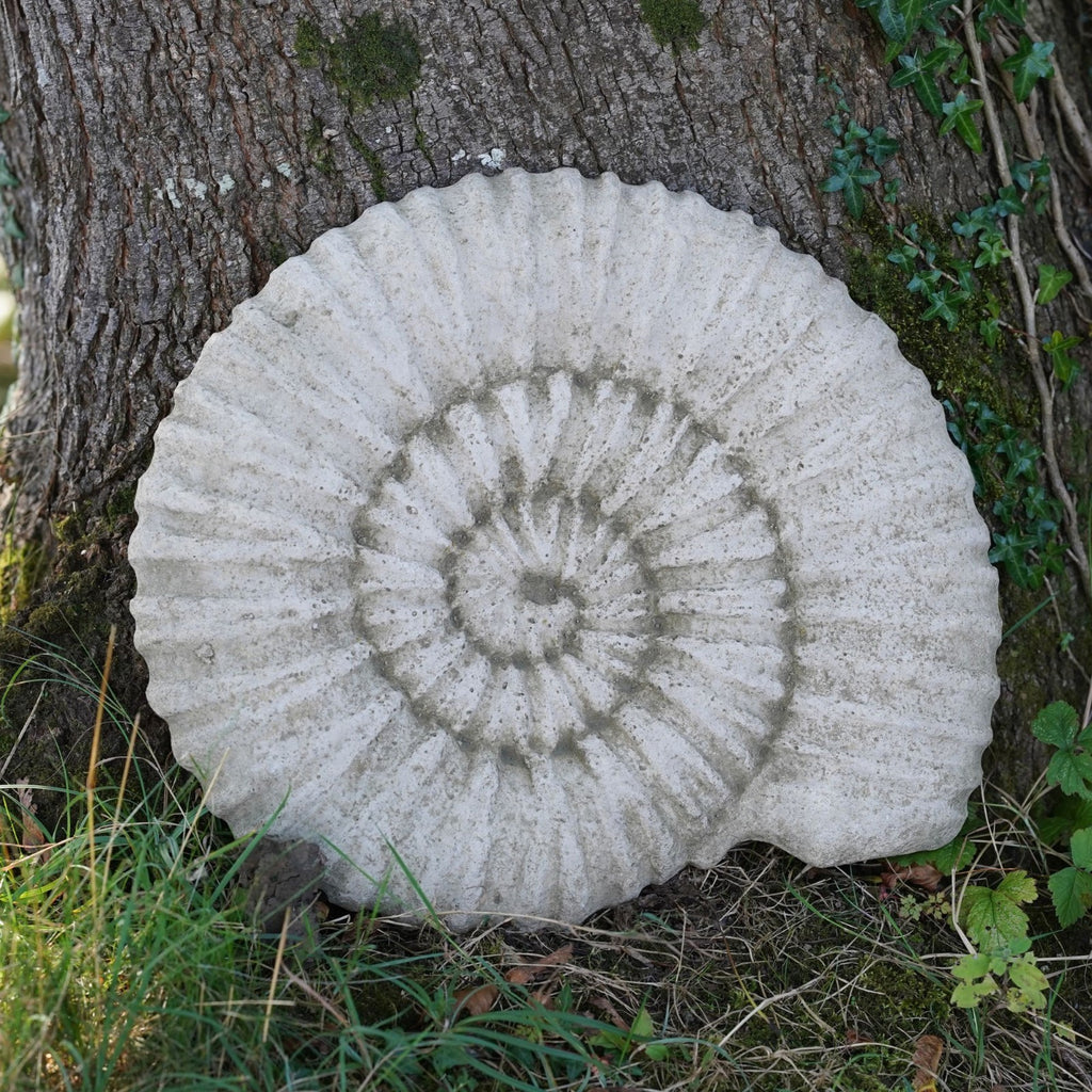 Ancient Ammonite Large 45cm Fossil Stone
