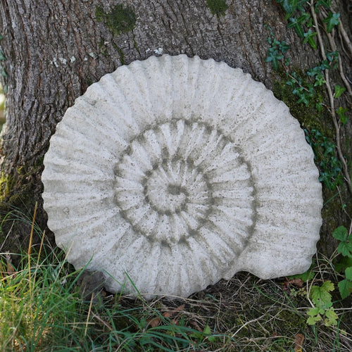 Ancient Ammonite Large 45cm Fossil Stone