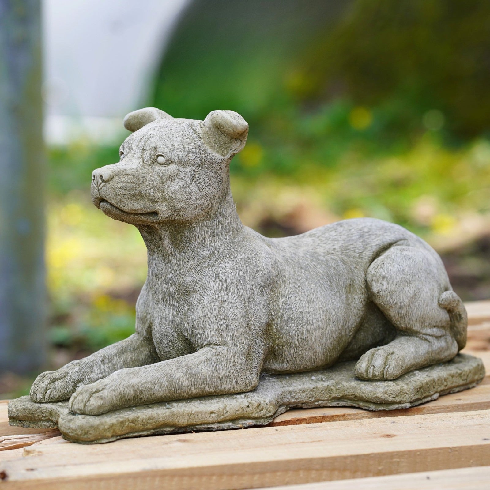 Laying Staffie Stone Statue