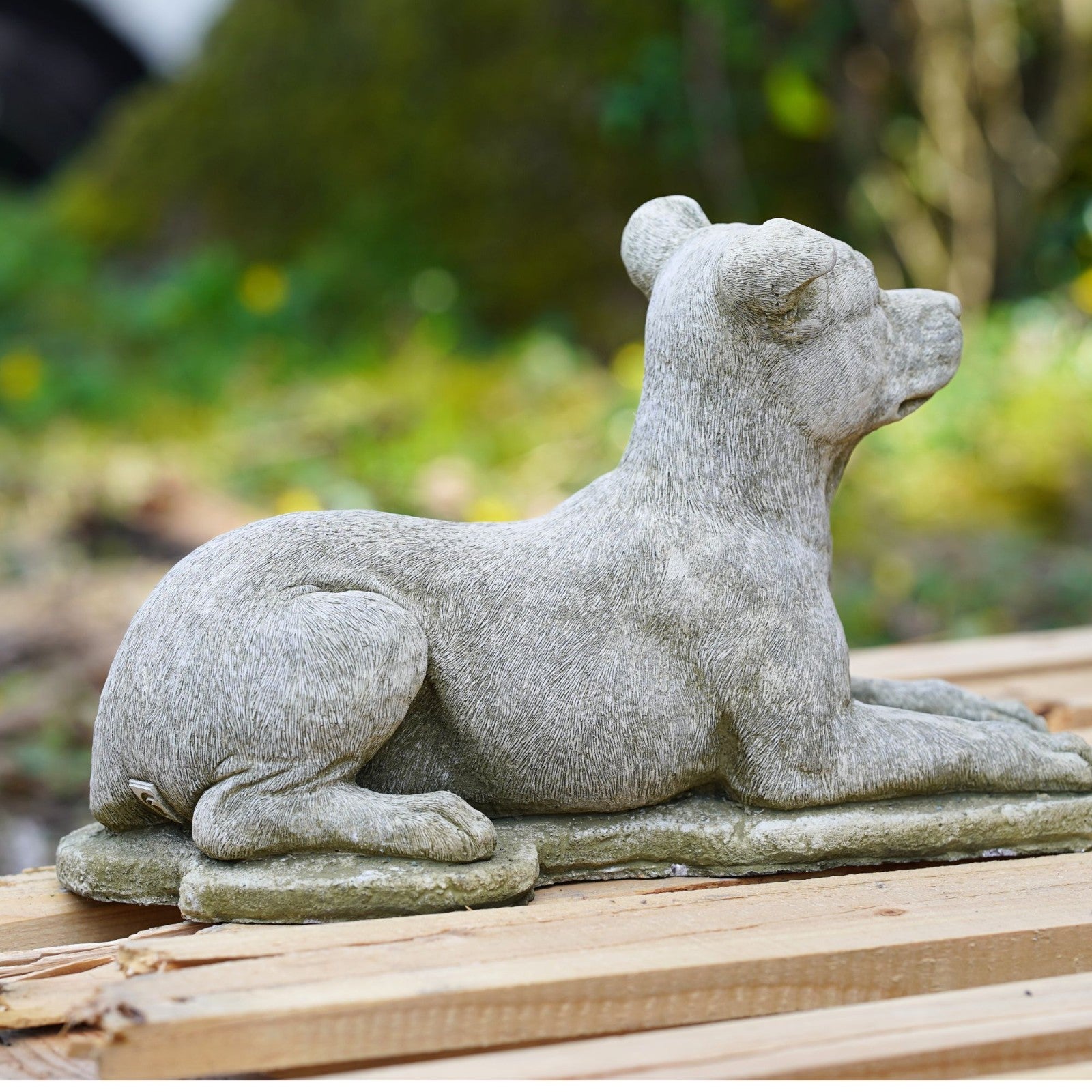 Laying Staffie Stone Statue