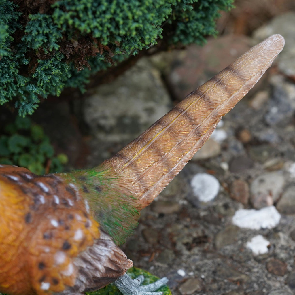 Pheasant Resin Sculpture | Game Bird Statue
