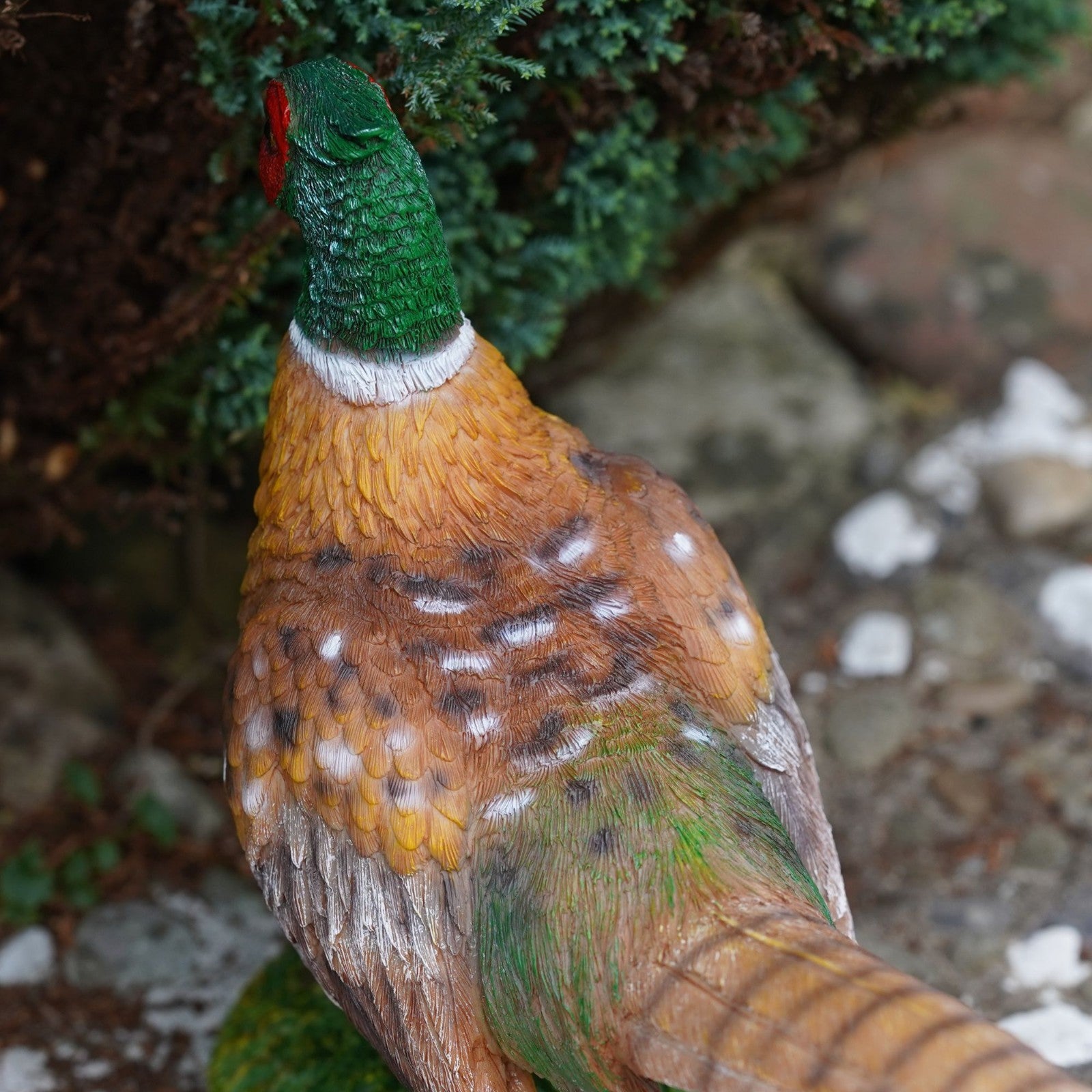 Pheasant Resin Sculpture | Game Bird Statue
