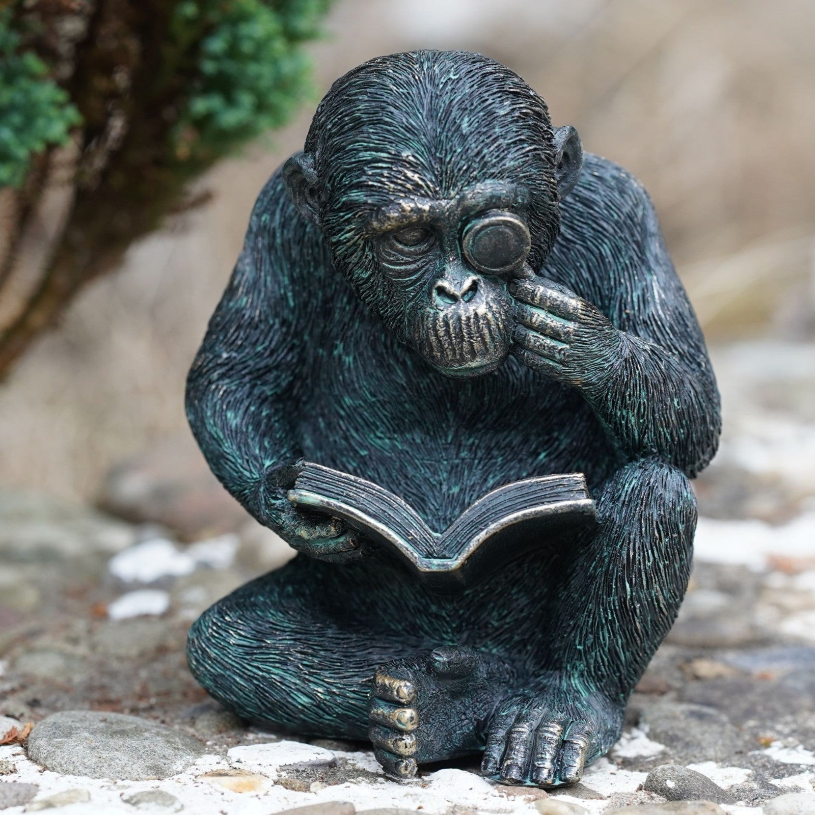 Studious Ape Resin Monkey Statue Bronze Finish