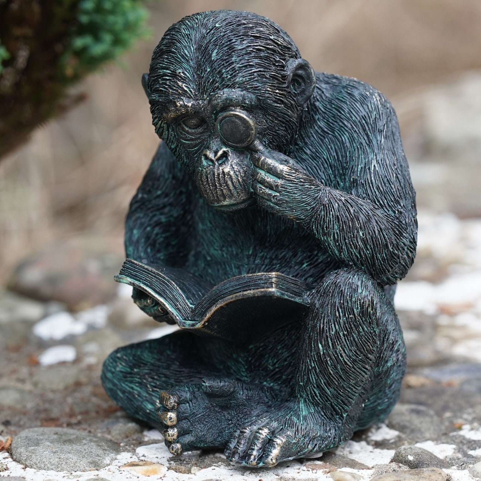 Studious Ape Resin Monkey Statue Bronze Finish