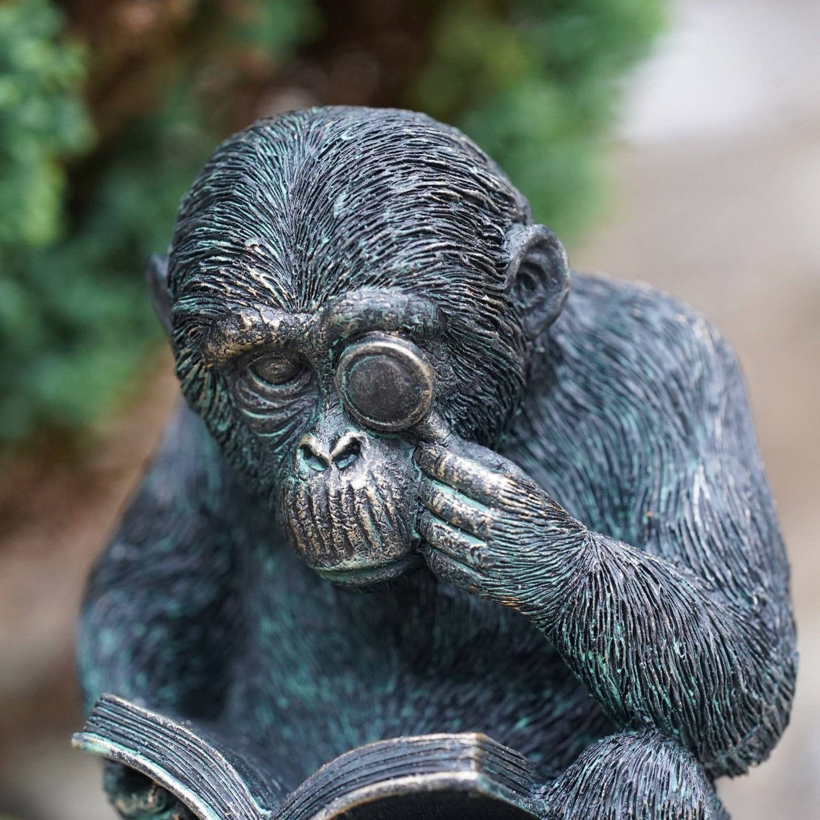 Studious Ape Resin Monkey Statue Bronze Finish