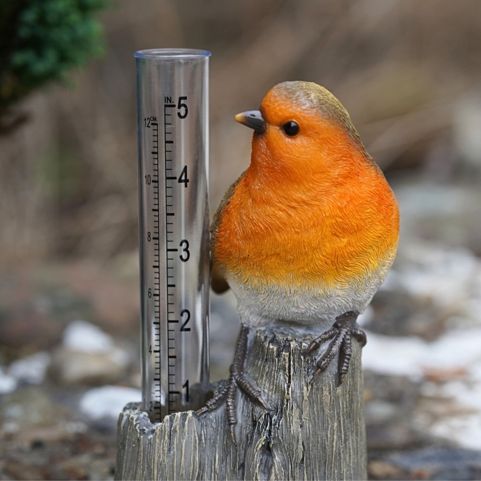 Robin Rain Gauge Resin Ornament