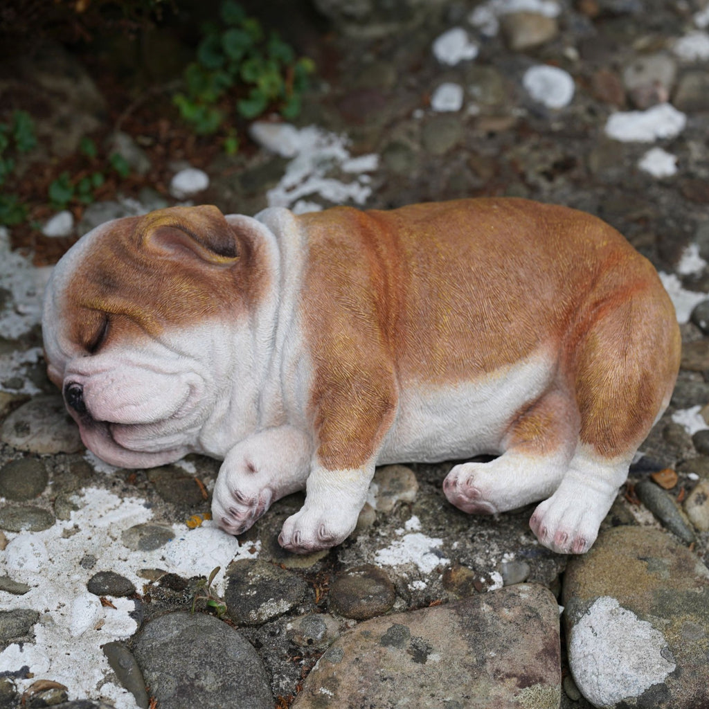 Sleeping British Bulldog Puppy | Resin Sculpture