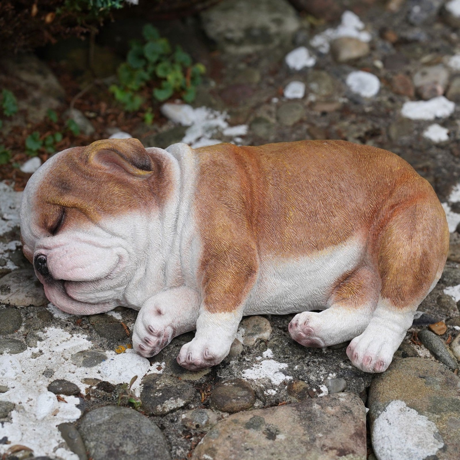 Sleeping British Bulldog Puppy | Resin Sculpture