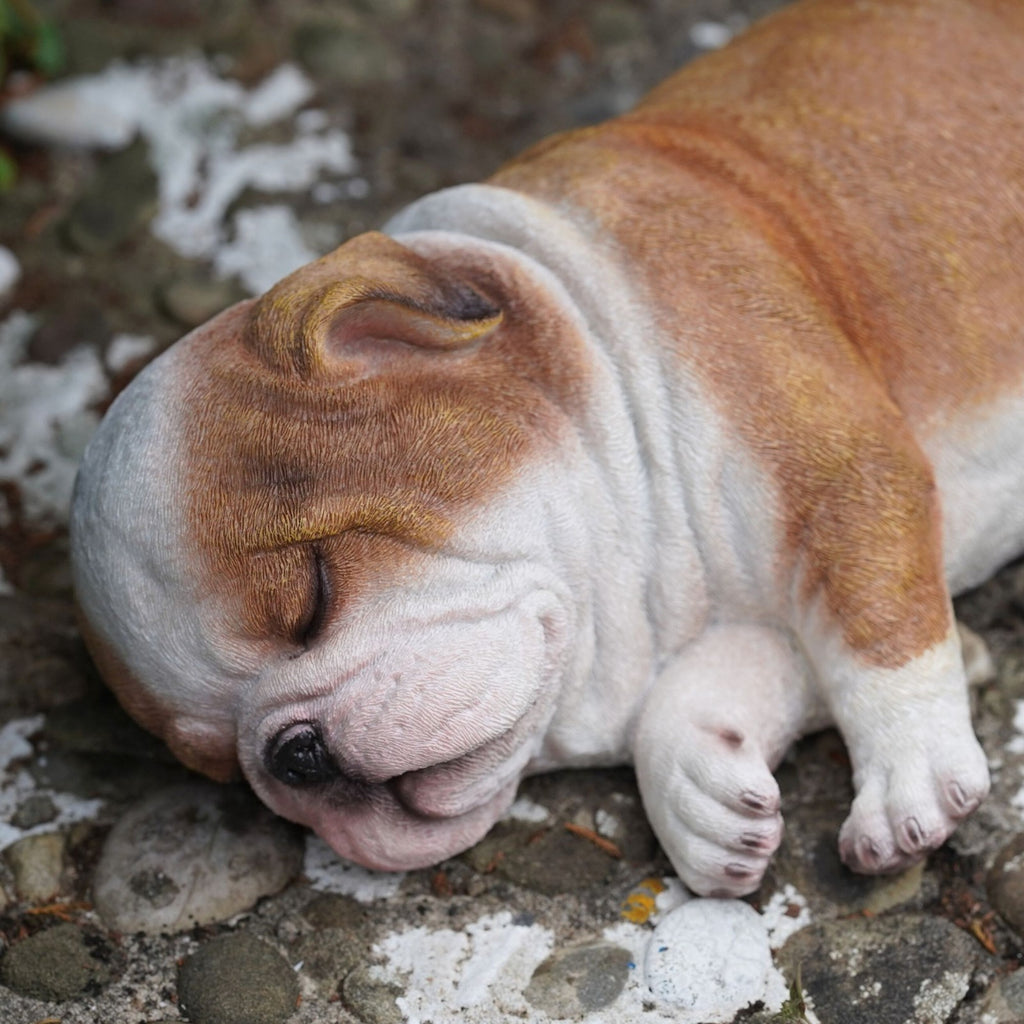 Sleeping British Bulldog Puppy | Resin Sculpture