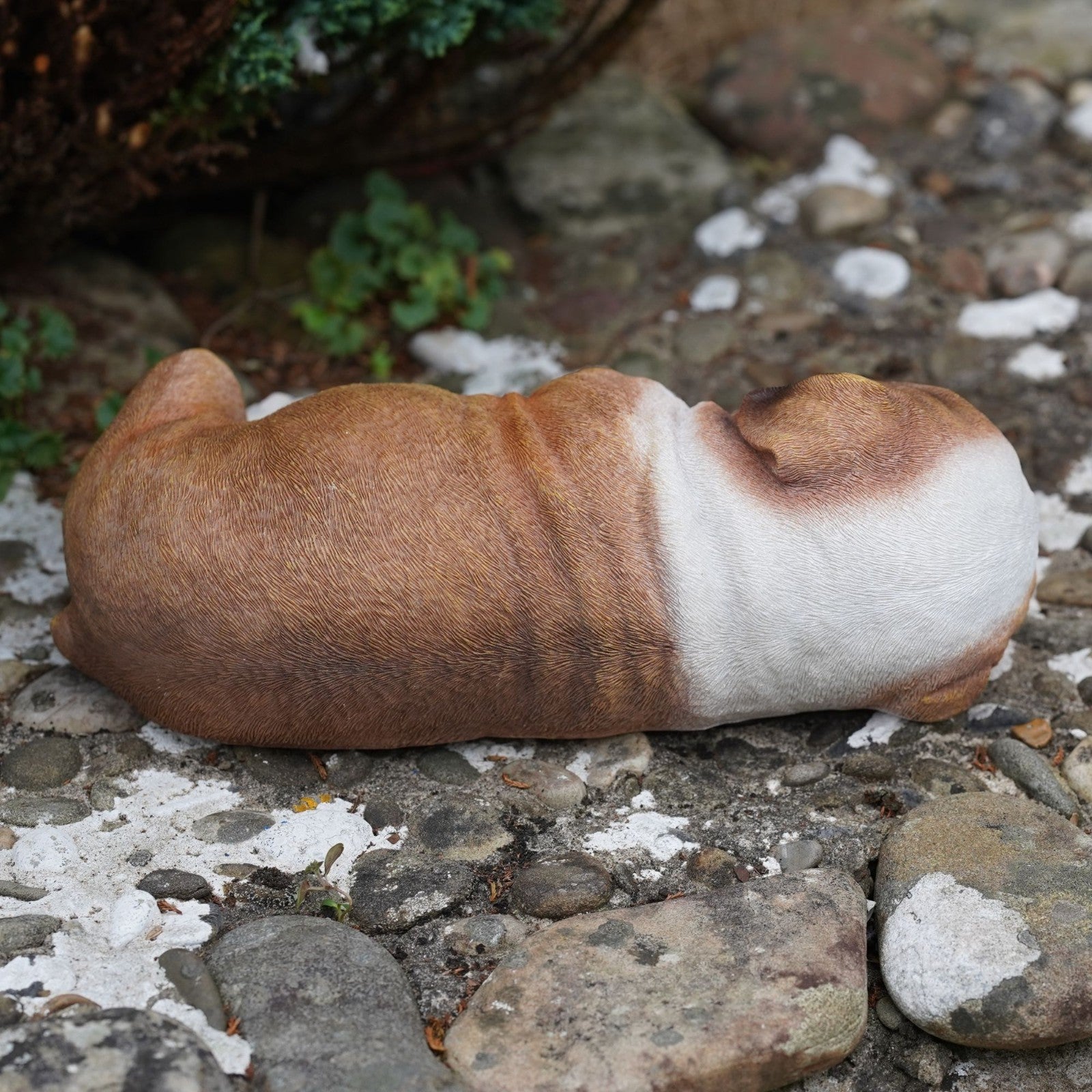 Sleeping British Bulldog Puppy | Resin Sculpture