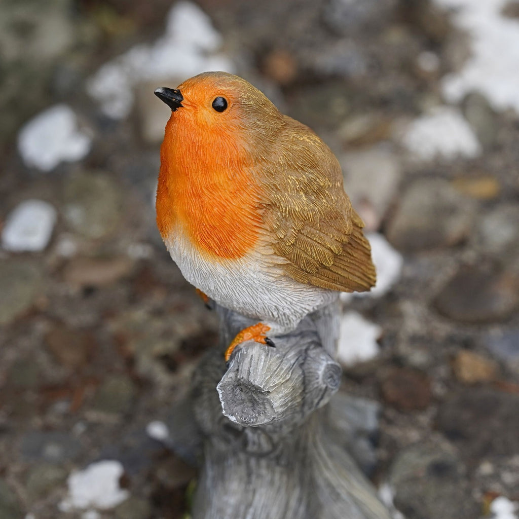 Sitting Robin Resin Statue | British Bird Ornament