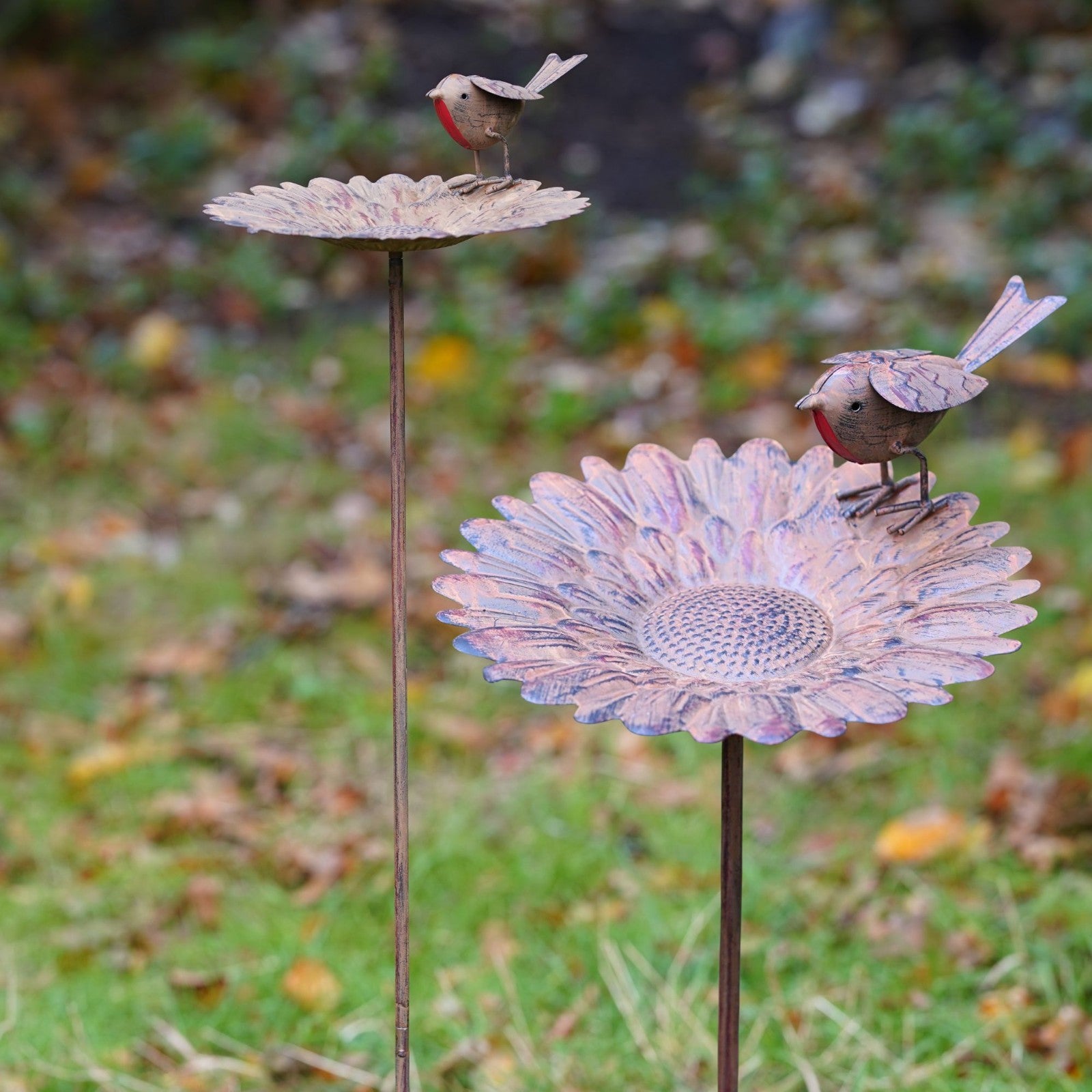 Robin Sunflower Bird Feeder | Garden Stake