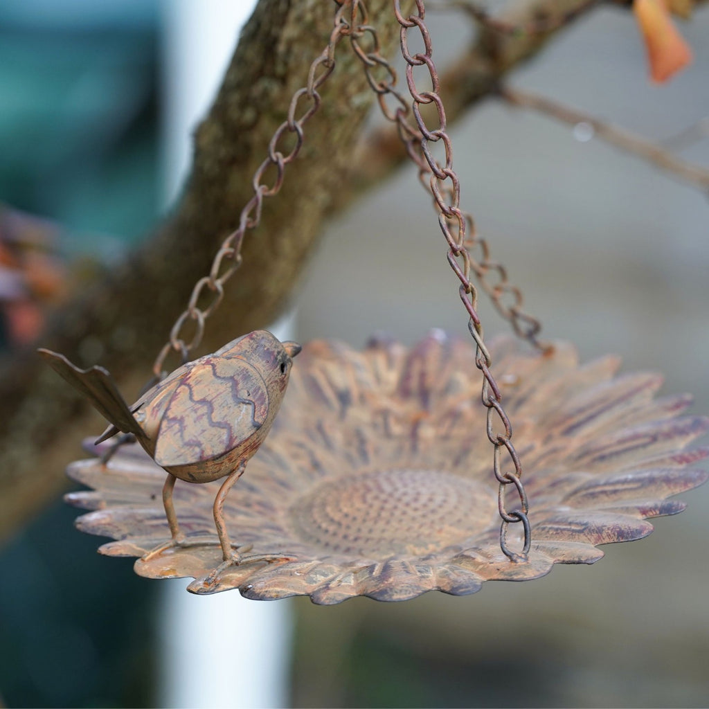 Hanging Robin Bird Feeder | Metal Garden Ornament