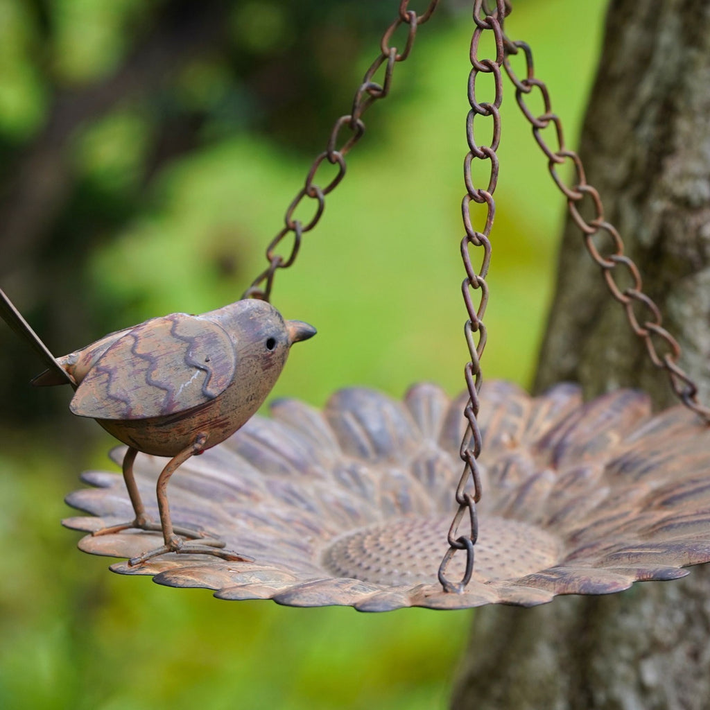 Hanging Robin Bird Feeder | Metal Garden Ornament