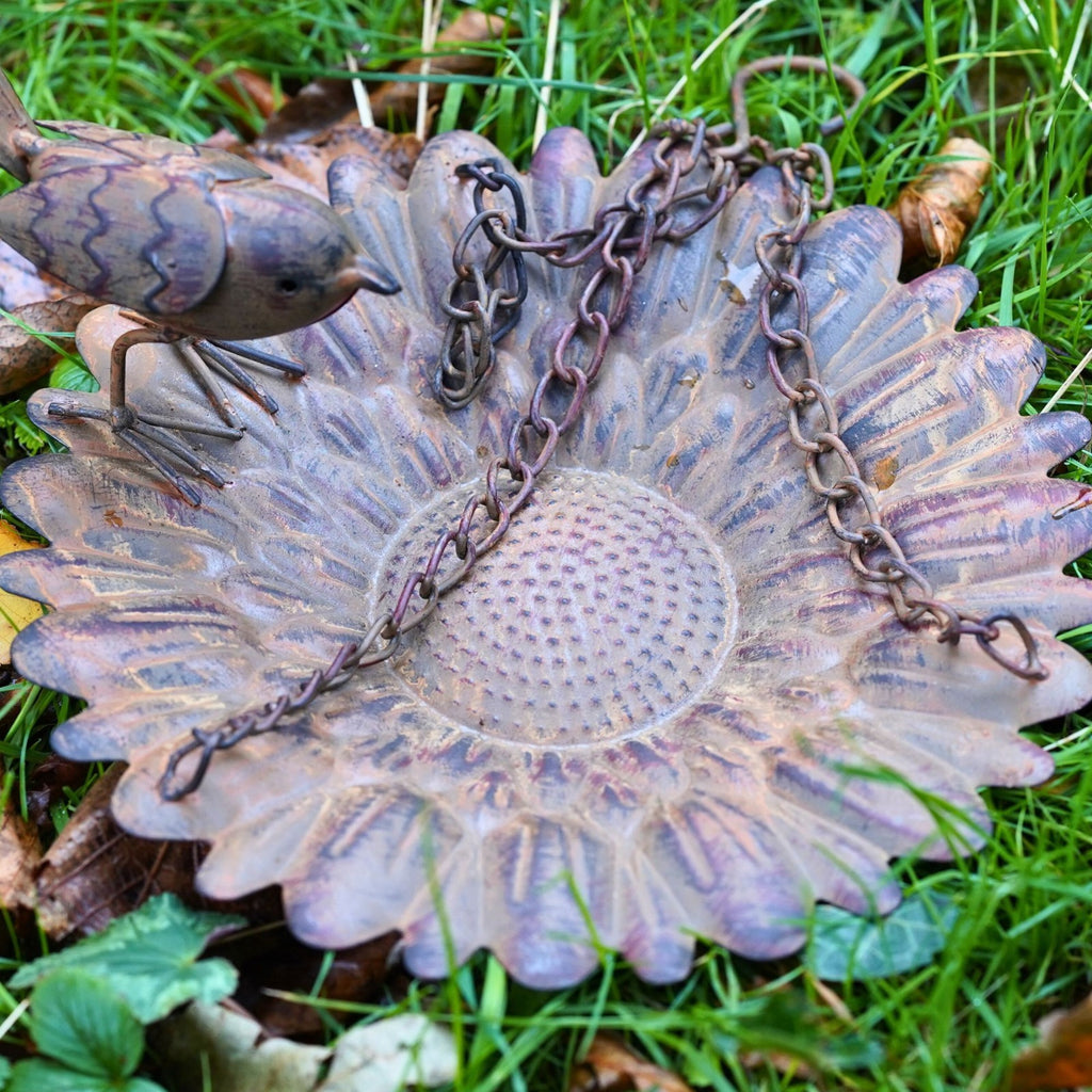 Hanging Robin Bird Feeder | Metal Garden Ornament
