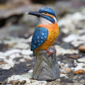 Kingfisher Resin Statue
