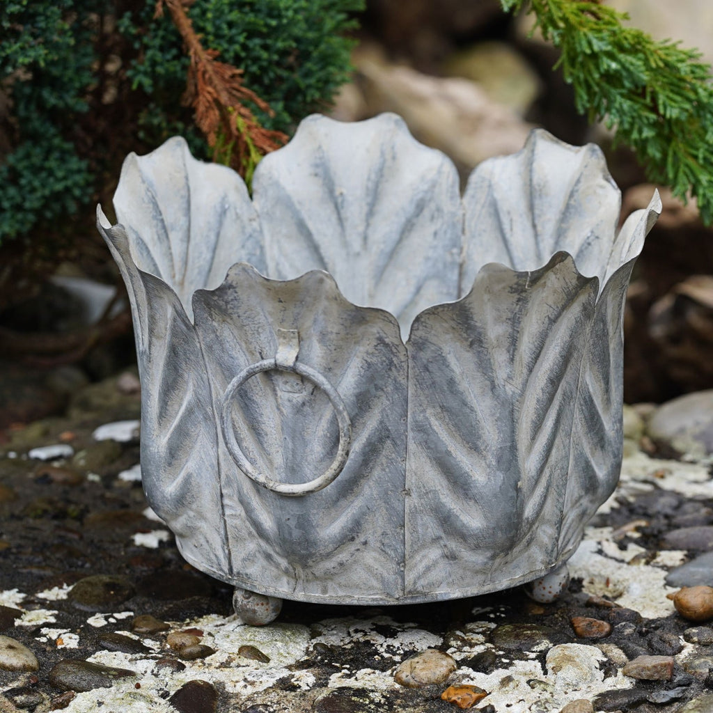 Acanthus Planter Galvanised Metal