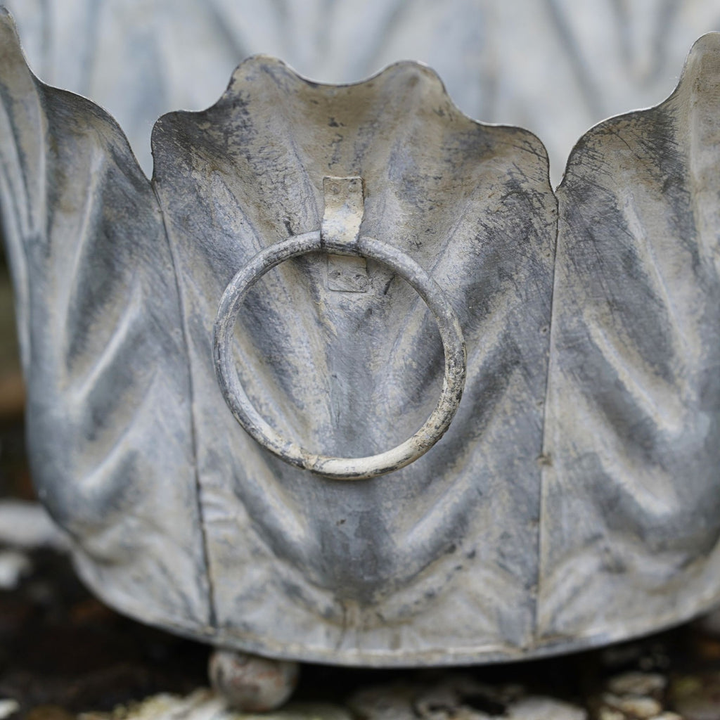 Acanthus Planter Galvanised Metal
