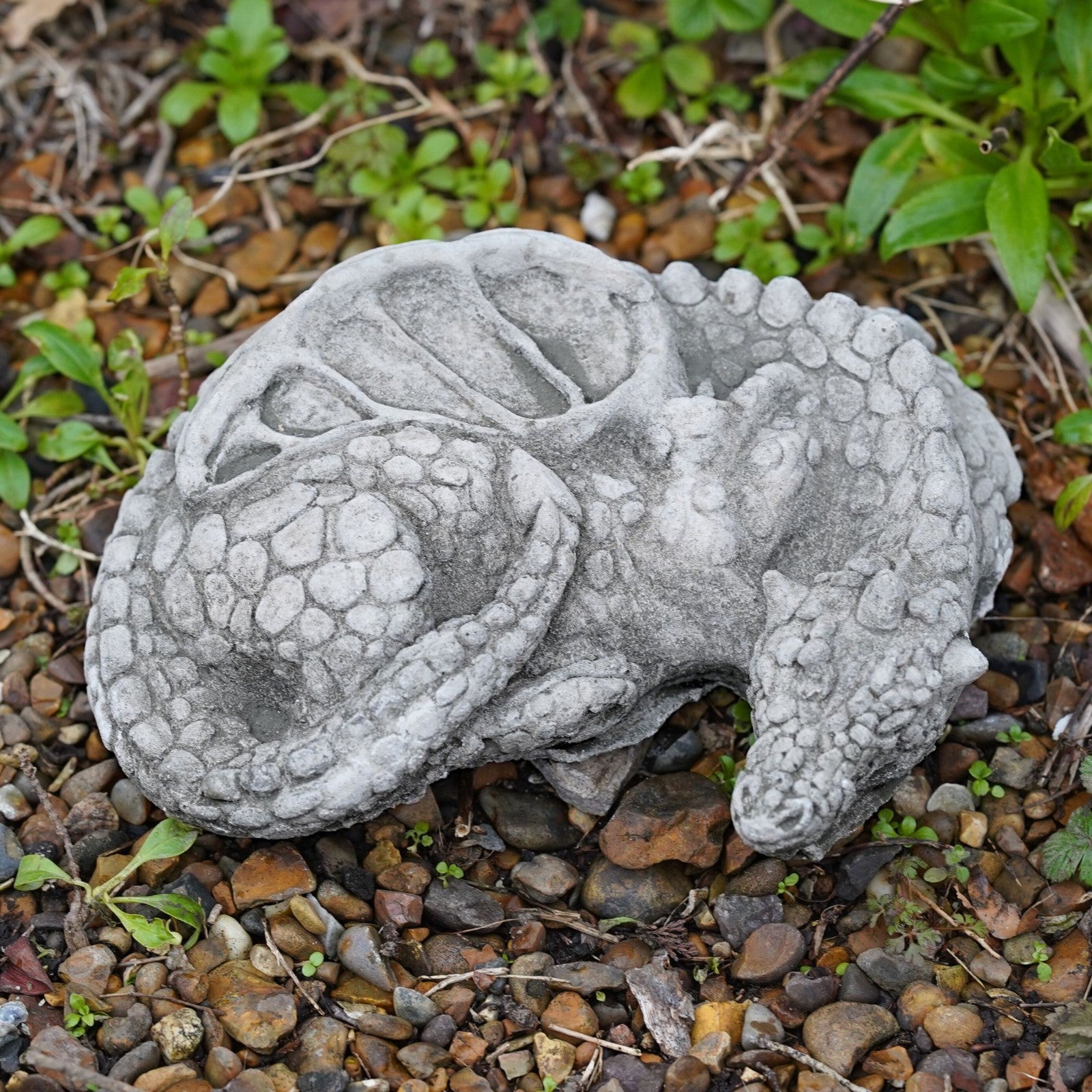 Curled Dragon Stone Garden Statue | Celtic Outdoor Ornament