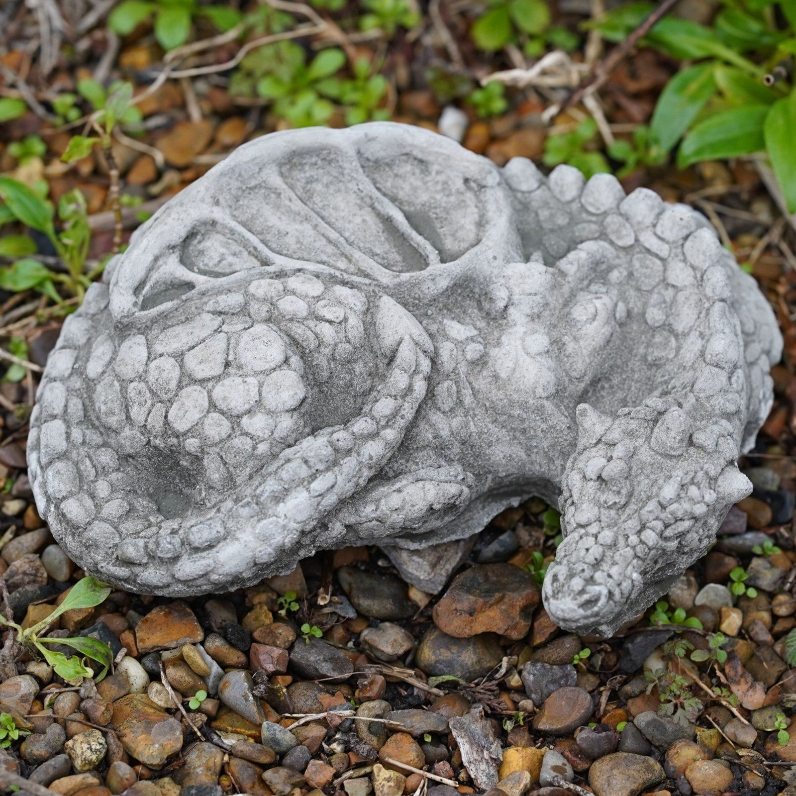 Curled Dragon Stone Garden Statue | Celtic Outdoor Ornament