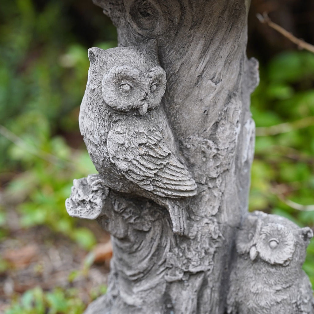 Owl Bird Bath Garden Stone Statue
