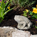 Toad Stone Statue Outdoor Garden Ornament