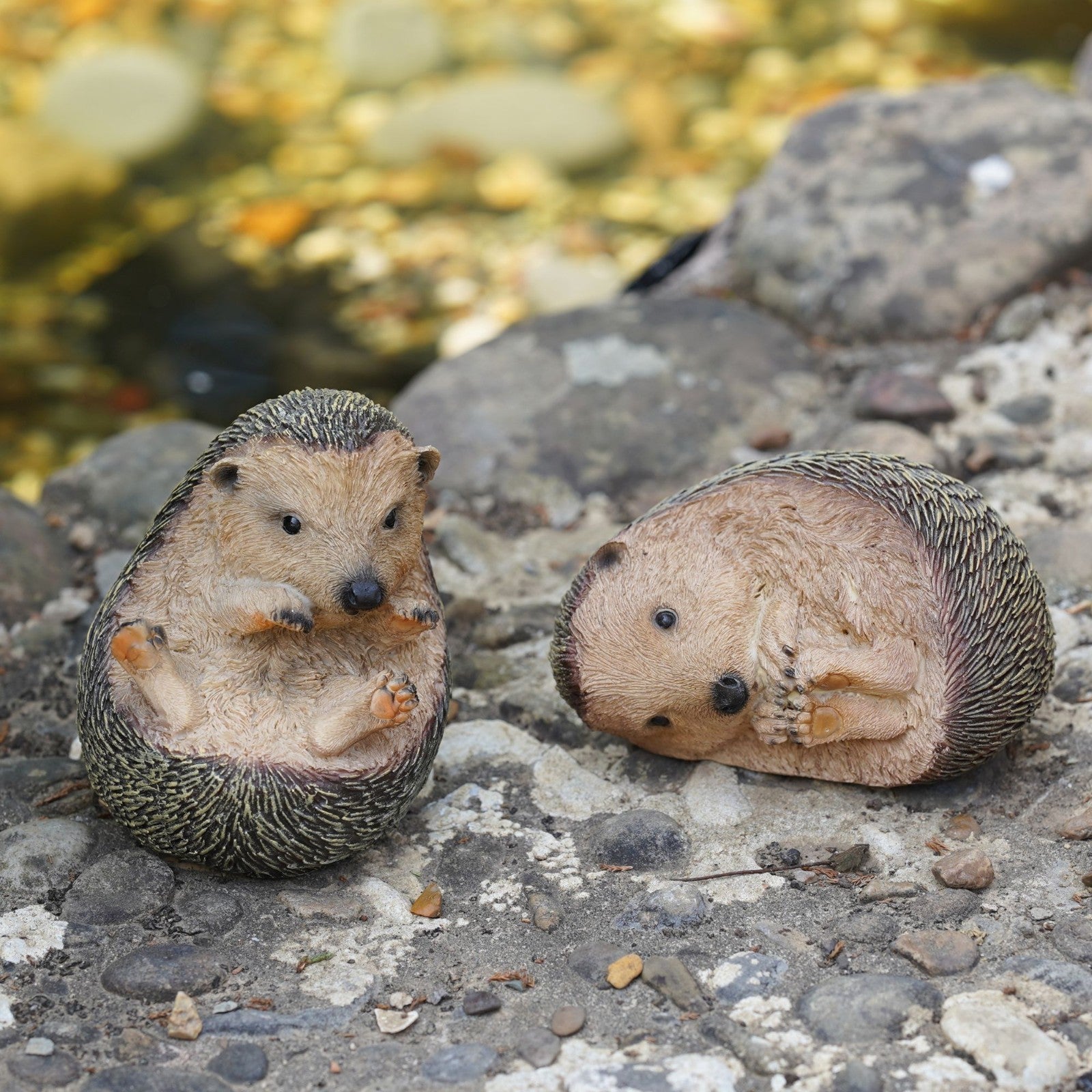 Pair of Hedgehogs Resin Statue Figurine Garden Ornament