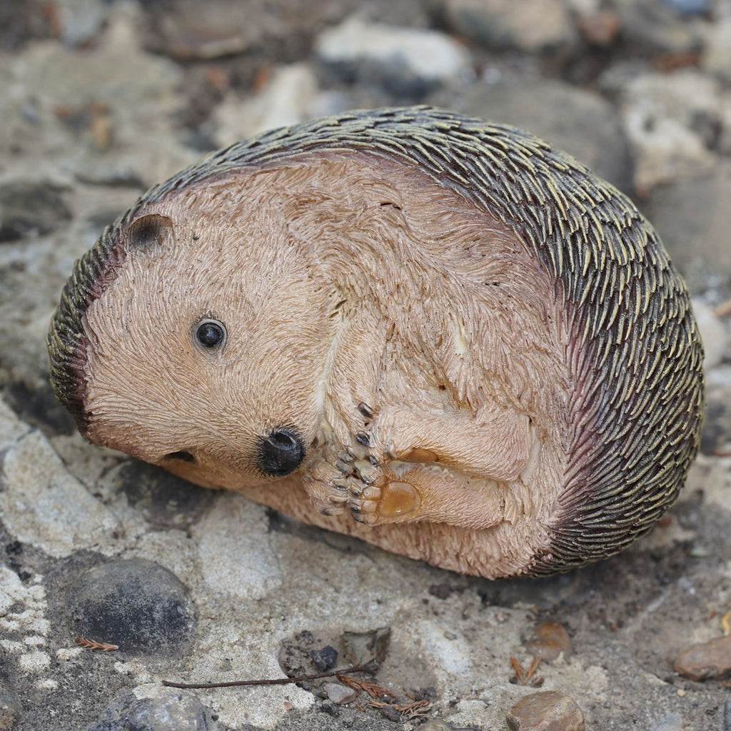 Pair of Hedgehogs Resin Statue Figurine Garden Ornament