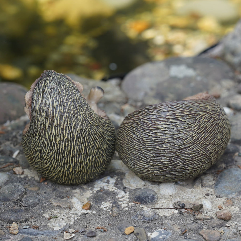 Pair of Hedgehogs Resin Statue Figurine Garden Ornament